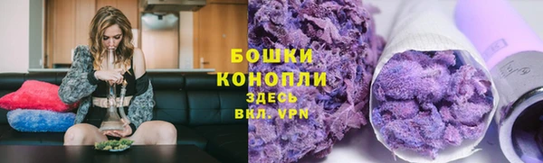 гидра Гусев