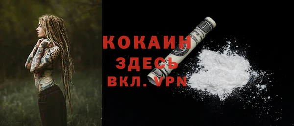 СК Гусь-Хрустальный