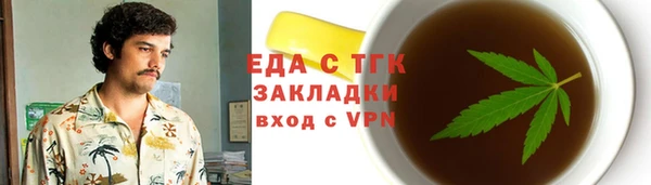 гидра Гусев