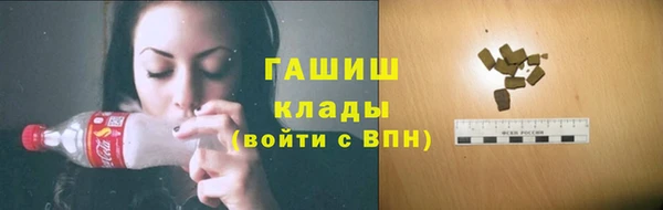 гидра Гусев