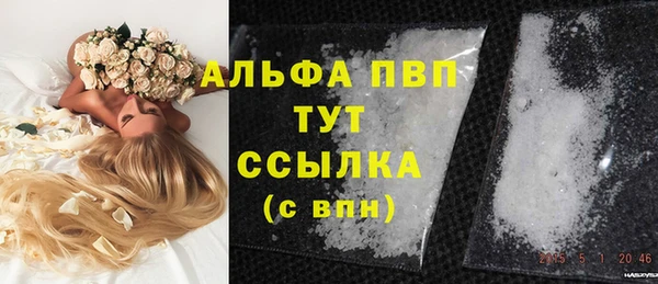 гидра Гусев