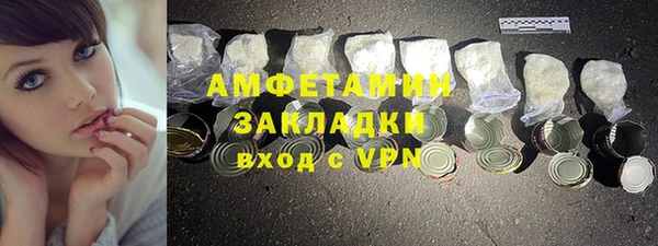 гидра Гусев