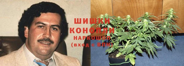 СК Гусь-Хрустальный