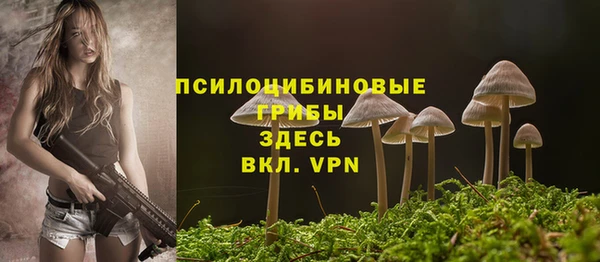 СК Гусь-Хрустальный