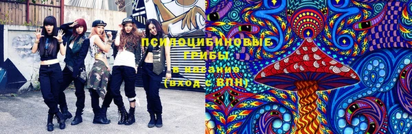 гидра Гусев